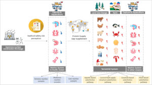 Read more about the article Potential impacts of Fukushima nuclear wastewater discharge on nutrient supply and greenhouse gas emissions of food systems